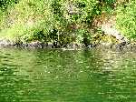 9 Jul 04 Lassen/Crater Lake/Rouge River; Duckies
Keywords:: 2004_0710Image2-2560104.JPG