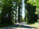 Lassen/Crater Lake/Rouge River; Avenue of the Giants (norther cali) giant redwood grove