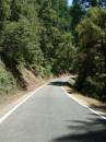 Lassen/Crater Lake/Rouge River; Road to Gold Beach from Rt 5 in the southwestern Cascades of Oregon!; Single lane twistiesx