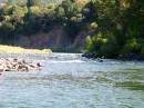 Lassen/Crater Lake/Rouge River;