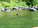 Lassen/Crater Lake/Rouge River; Rouge river turtlex