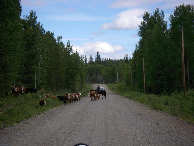 bc2ak-O0049.JPG - Alaska trip 08; bc2ak; Close to Vanderhoof;